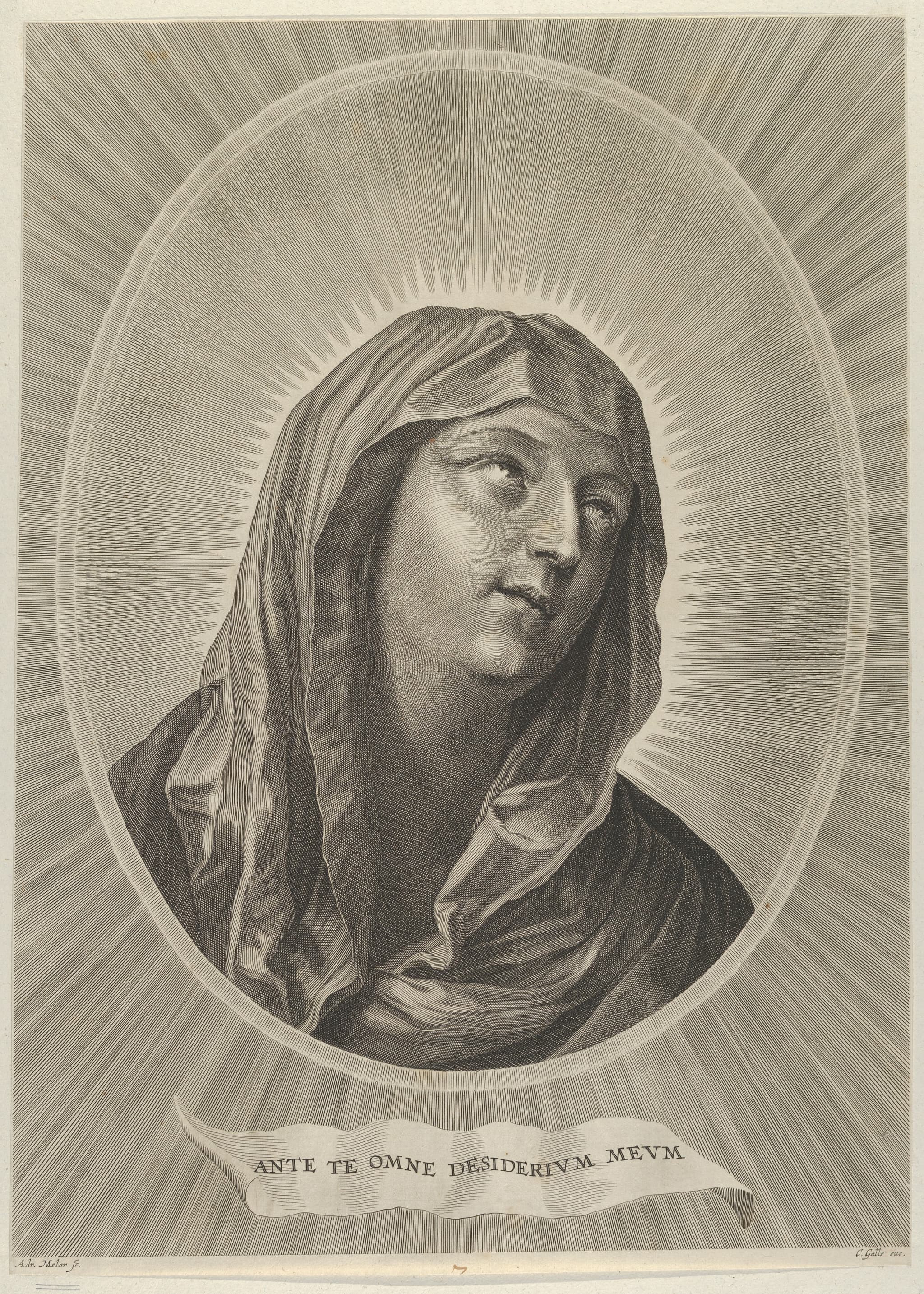 The head of the Virgin looking up to the right, in an oval frame, after Reni