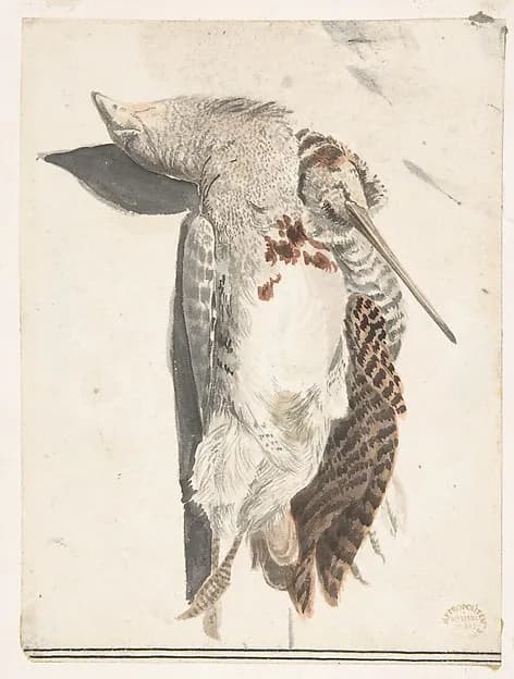 Two Dead Birds (A Quail and a Long-Beaked Bird) by Count Giorgio Durante (Duranti) depicting Numbers 11