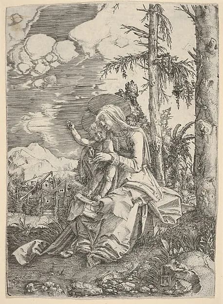 The Virgin with the Blessing Child in a Landscape by Albrecht Altdorfer depicting Luke 2