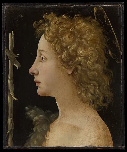 The Young Saint John the Baptist by Piero di Cosimo (Piero di Lorenzo di Piero d'Antonio) depicting Matthew 3