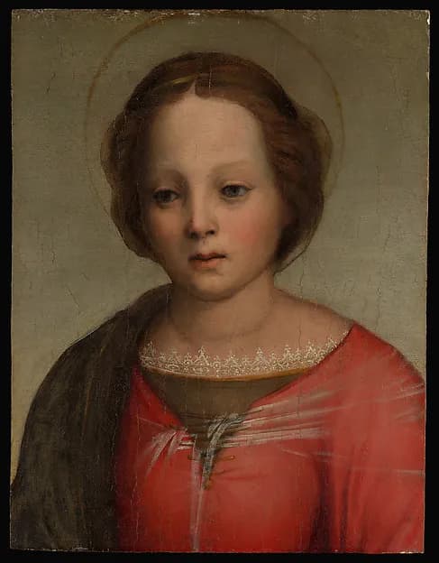Head of the Madonna by Franciabigio (Francesco di Cristofano) depicting Luke 2