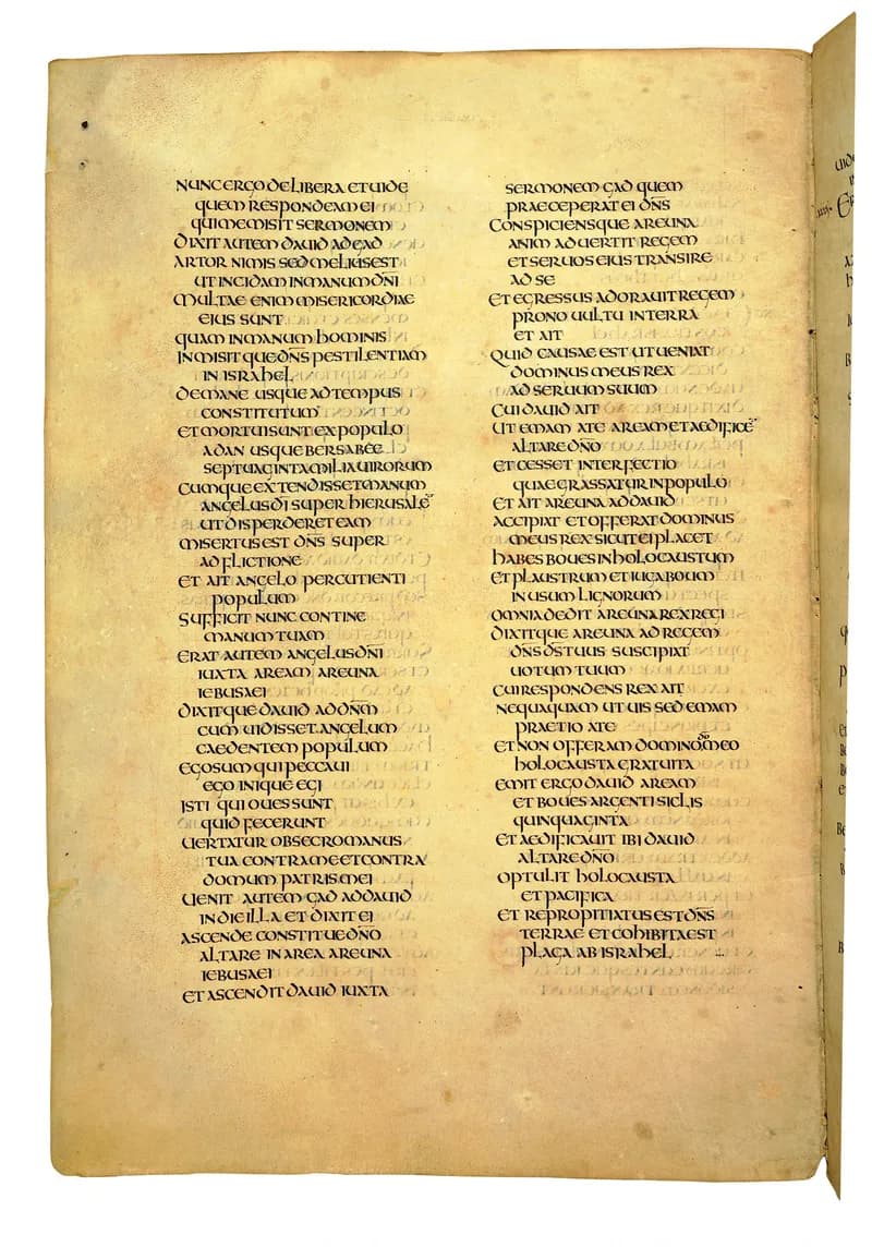 Codex Amiatinus, 1 Chronicles 13 (canvas 546) by Master of the Codex Amiatinus (Monkwearmouth-Jarrow scriptorium) depicting 1 Chronicles 13
