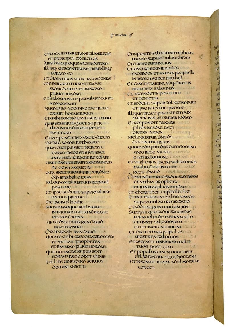 Codex Amiatinus, 1 Chronicles 17 (canvas 552) by Master of the Codex Amiatinus (Monkwearmouth-Jarrow scriptorium) depicting 1 Chronicles 17