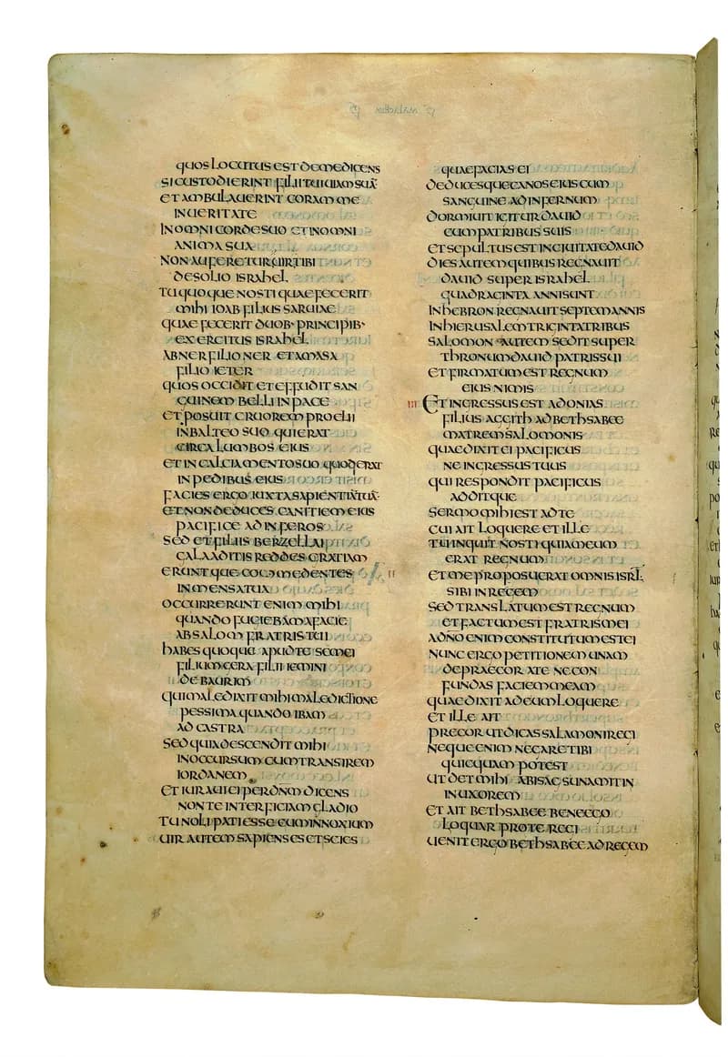 Codex Amiatinus, 1 Chronicles 18 (canvas 554) by Master of the Codex Amiatinus (Monkwearmouth-Jarrow scriptorium) depicting 1 Chronicles 18