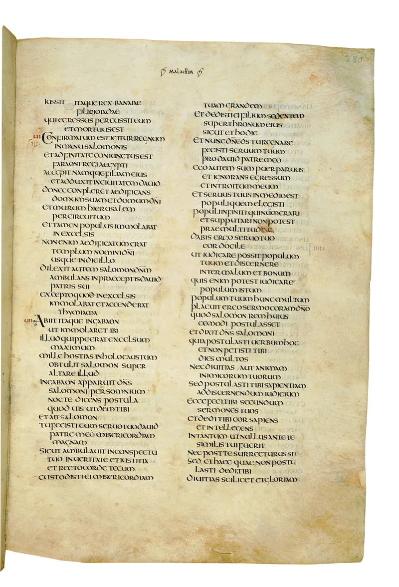 Codex Amiatinus, 1 Chronicles 20 (canvas 557) by Master of the Codex Amiatinus (Monkwearmouth-Jarrow scriptorium) depicting 1 Chronicles 20