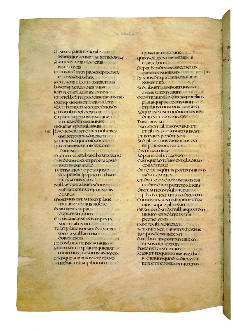 Codex Amiatinus, 1 Chronicles 21 (canvas 558) by Master of the Codex Amiatinus (Monkwearmouth-Jarrow scriptorium) depicting 1 Chronicles 21
