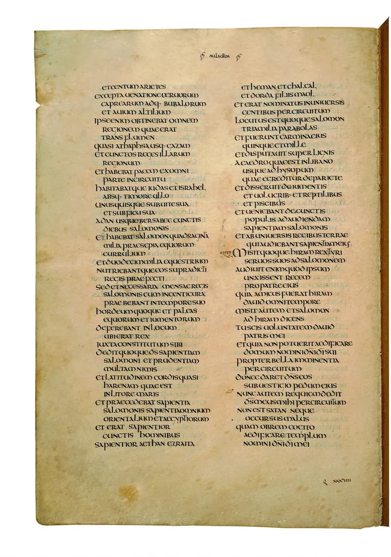 Codex Amiatinus, 1 Chronicles 22 (canvas 560) by Master of the Codex Amiatinus (Monkwearmouth-Jarrow scriptorium) depicting 1 Chronicles 22