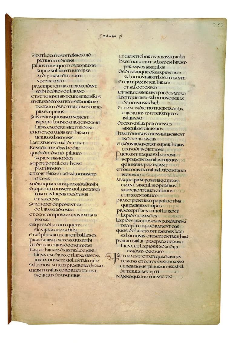 Codex Amiatinus, 1 Chronicles 23 (canvas 561) by Master of the Codex Amiatinus (Monkwearmouth-Jarrow scriptorium) depicting 1 Chronicles 23