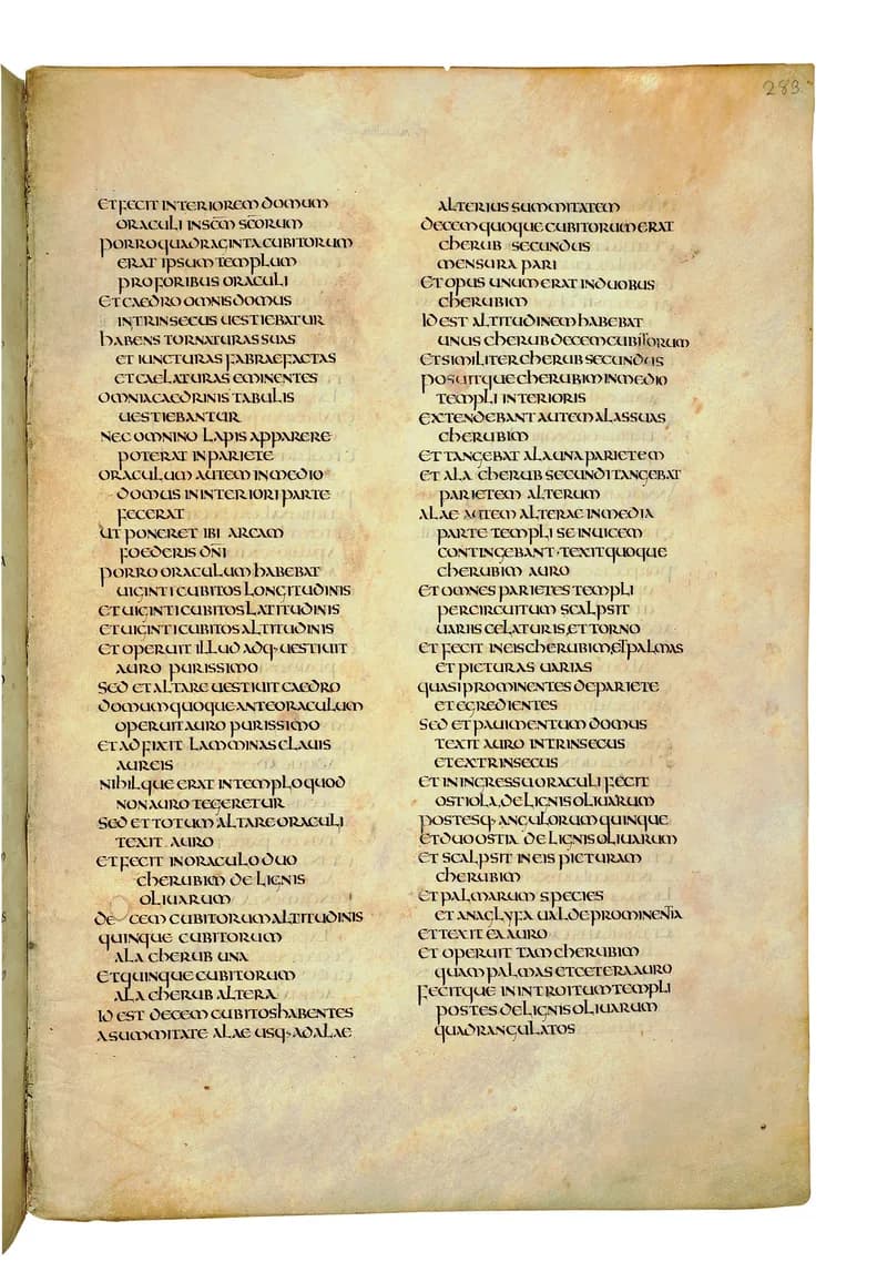 Codex Amiatinus, 1 Chronicles 24 (canvas 563) by Master of the Codex Amiatinus (Monkwearmouth-Jarrow scriptorium) depicting 1 Chronicles 24