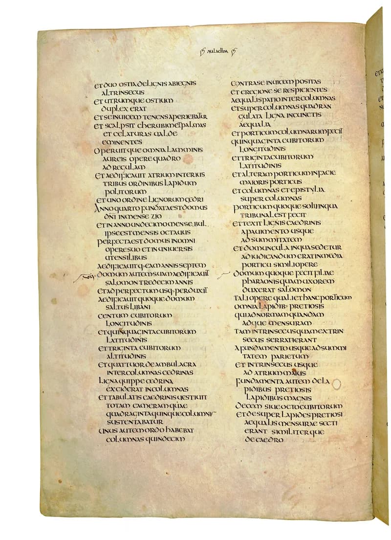 Codex Amiatinus, 1 Chronicles 25 (canvas 564) by Master of the Codex Amiatinus (Monkwearmouth-Jarrow scriptorium) depicting 1 Chronicles 25