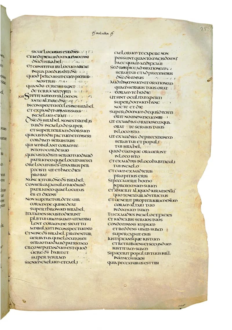 Codex Amiatinus, 1 Chronicles 28 (canvas 569) by Master of the Codex Amiatinus (Monkwearmouth-Jarrow scriptorium) depicting 1 Chronicles 28