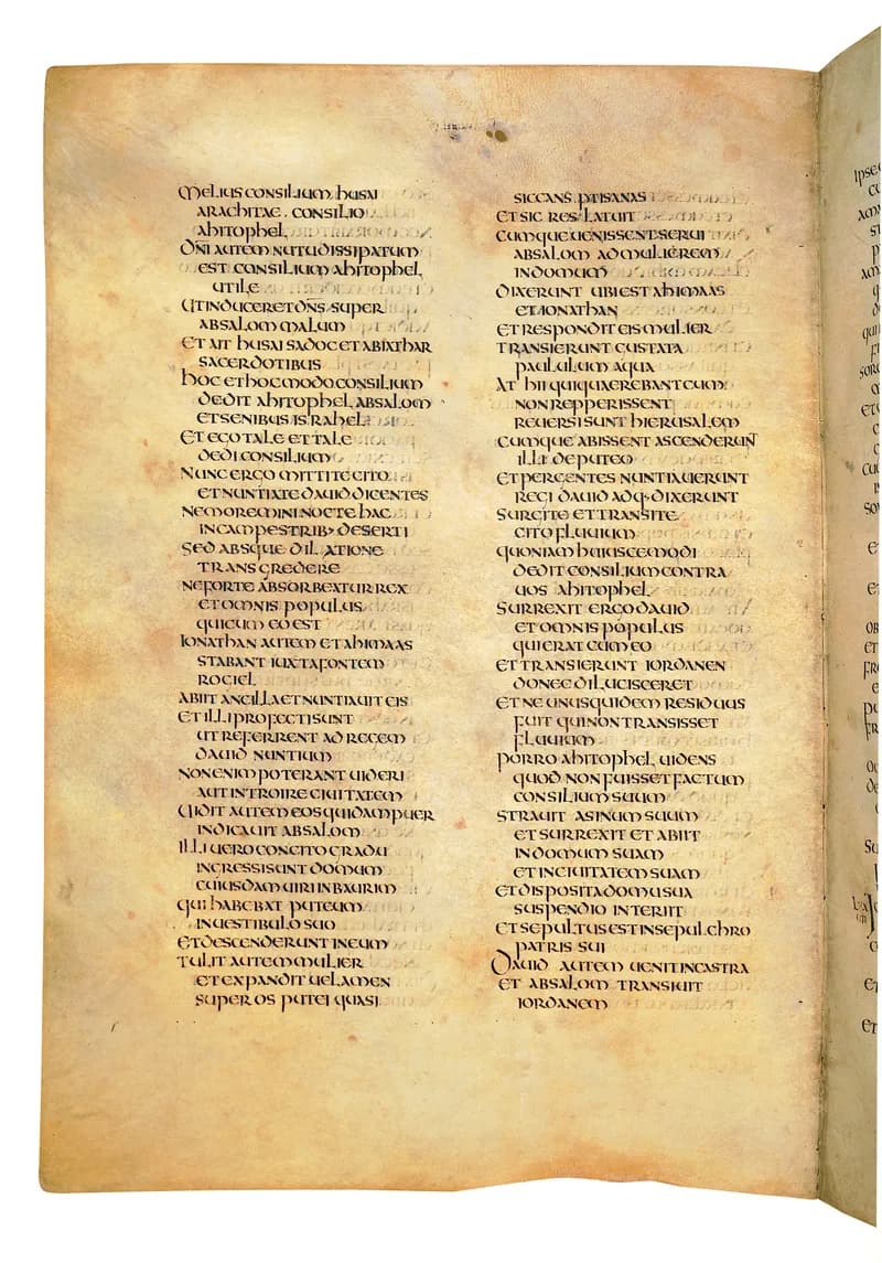 Codex Amiatinus, 1 Chronicles 3 (canvas 530) by Master of the Codex Amiatinus (Monkwearmouth-Jarrow scriptorium) depicting 1 Chronicles 3