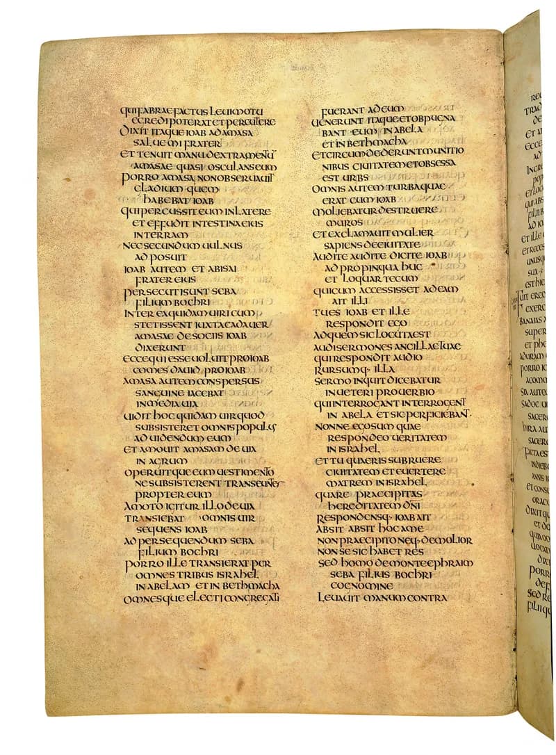 Codex Amiatinus, 1 Chronicles 8 (canvas 538) by Master of the Codex Amiatinus (Monkwearmouth-Jarrow scriptorium) depicting 1 Chronicles 8