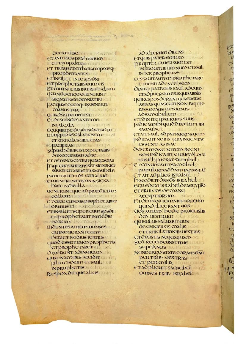 Codex Amiatinus, 1 Kings 1 (canvas 454) by Master of the Codex Amiatinus (Monkwearmouth-Jarrow scriptorium) depicting 1 Kings 1