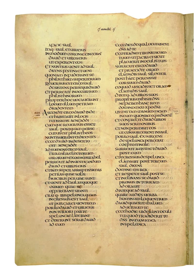 Codex Amiatinus, 1 Kings 20 (canvas 484) by Master of the Codex Amiatinus (Monkwearmouth-Jarrow scriptorium) depicting 1 Kings 20