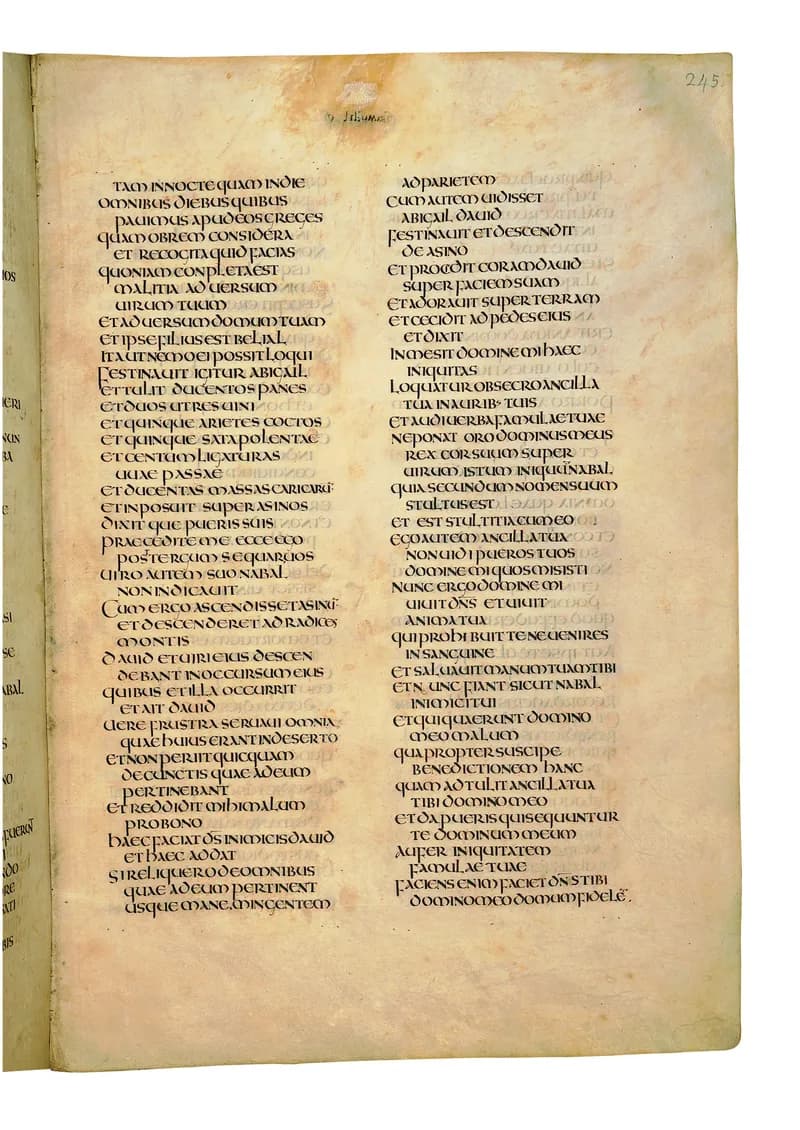 Codex Amiatinus, 1 Kings 22 (canvas 487) by Master of the Codex Amiatinus (Monkwearmouth-Jarrow scriptorium) depicting 1 Kings 22