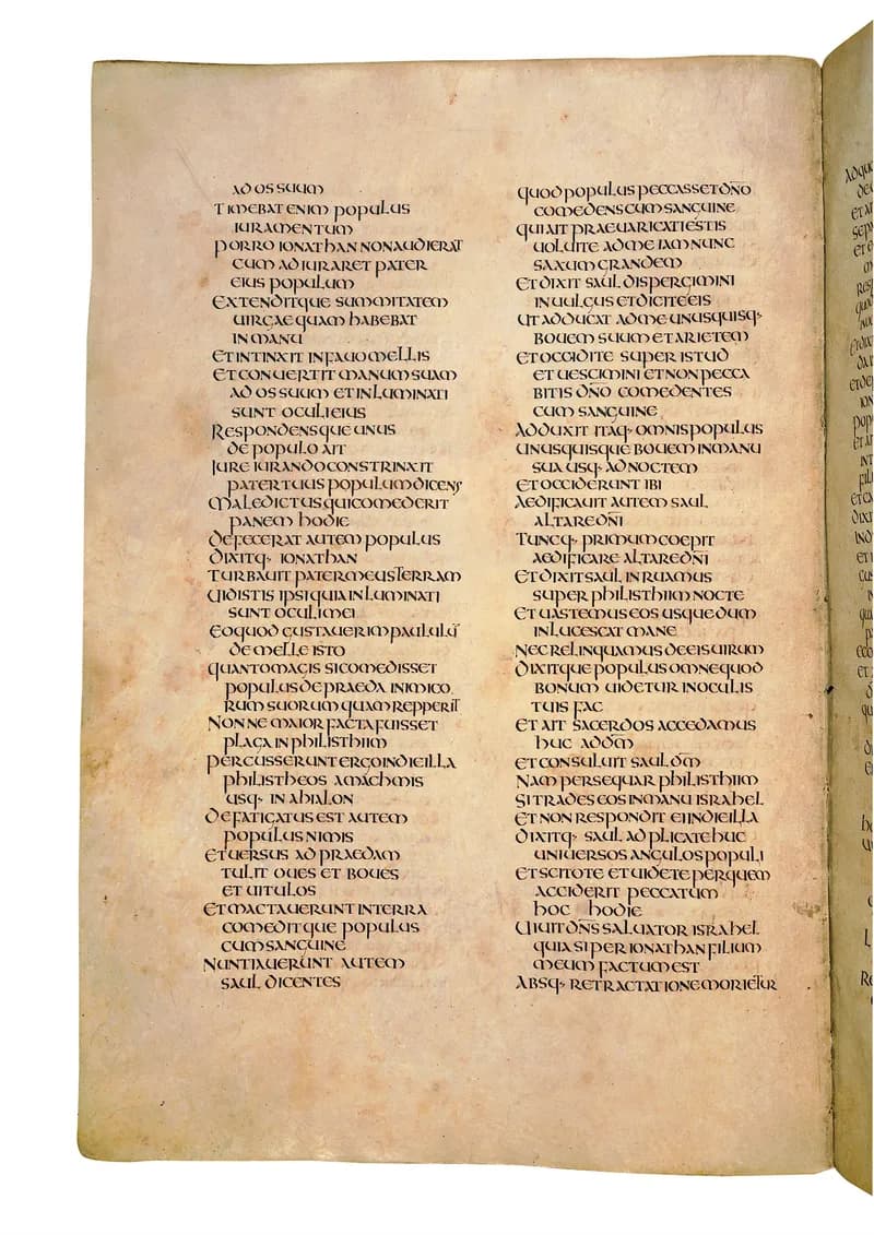 Codex Amiatinus, 1 Kings 6 (canvas 462) by Master of the Codex Amiatinus (Monkwearmouth-Jarrow scriptorium) depicting 1 Kings 6