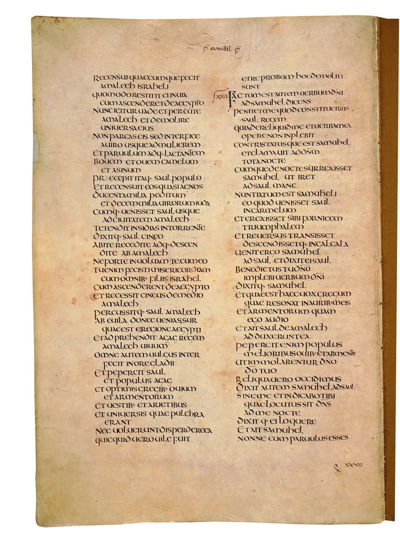 Codex Amiatinus, 1 Kings 7 (canvas 464) by Master of the Codex Amiatinus (Monkwearmouth-Jarrow scriptorium) depicting 1 Kings 7
