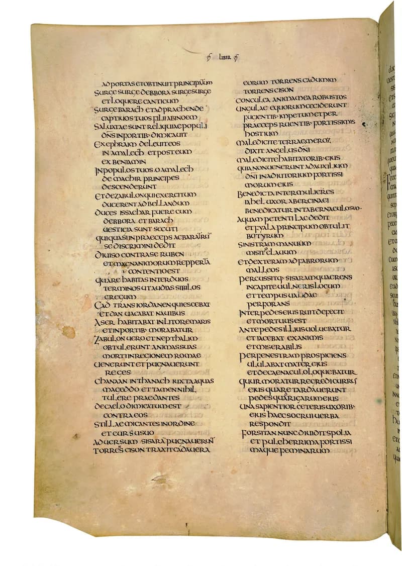 Codex Amiatinus, 1 Samuel 17 (canvas 394) by Master of the Codex Amiatinus (Monkwearmouth-Jarrow scriptorium) depicting 1 Samuel 17