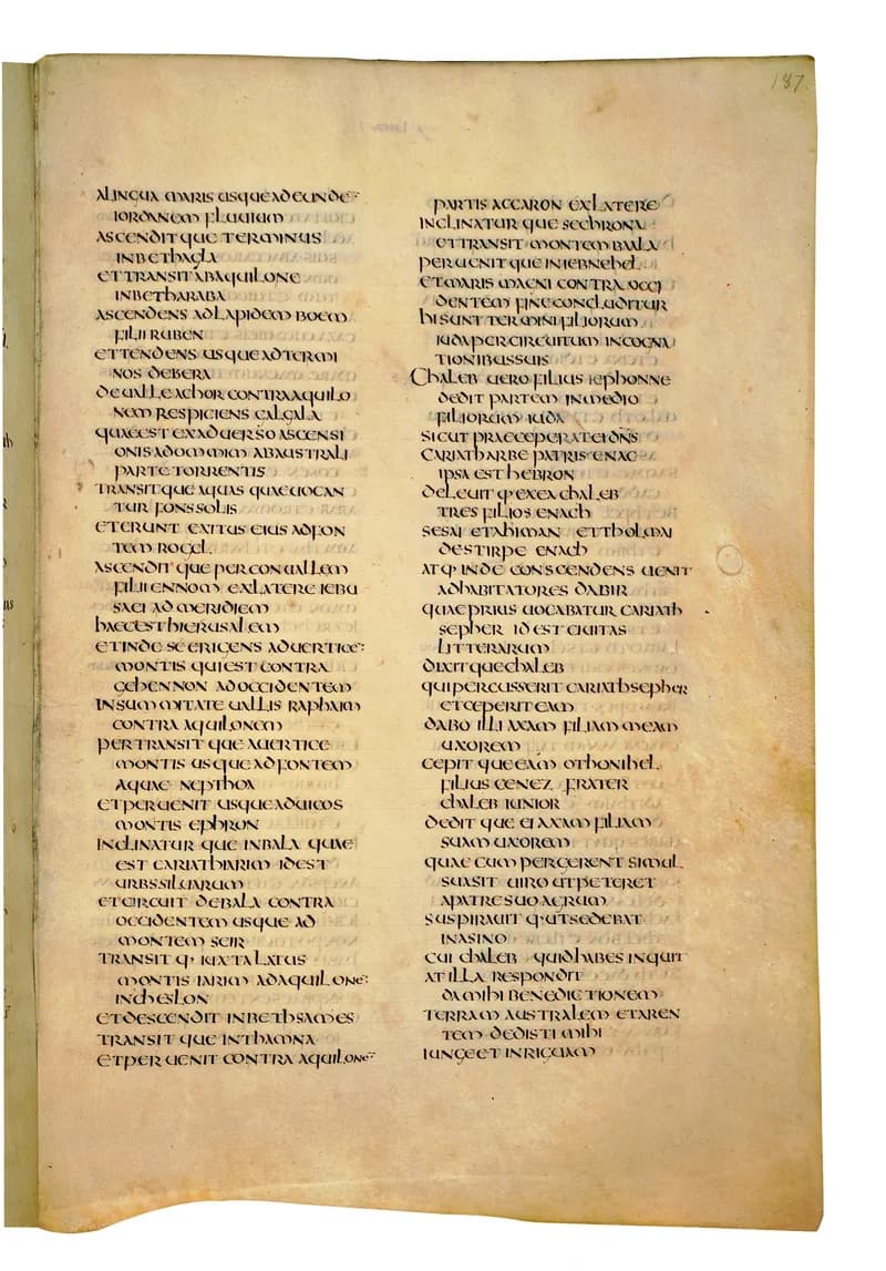 Codex Amiatinus, 1 Samuel 2 (canvas 371) by Master of the Codex Amiatinus (Monkwearmouth-Jarrow scriptorium) depicting 1 Samuel 2