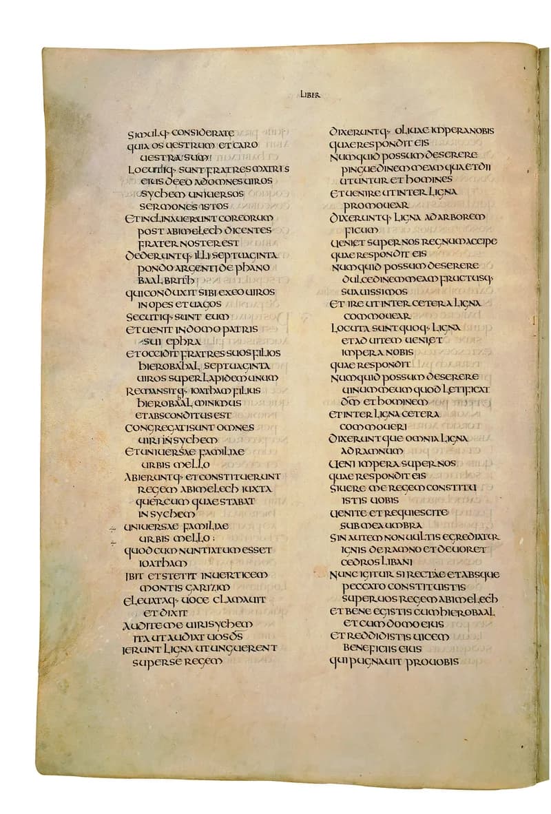 Codex Amiatinus, 1 Samuel 22 (canvas 402) by Master of the Codex Amiatinus (Monkwearmouth-Jarrow scriptorium) depicting 1 Samuel 22