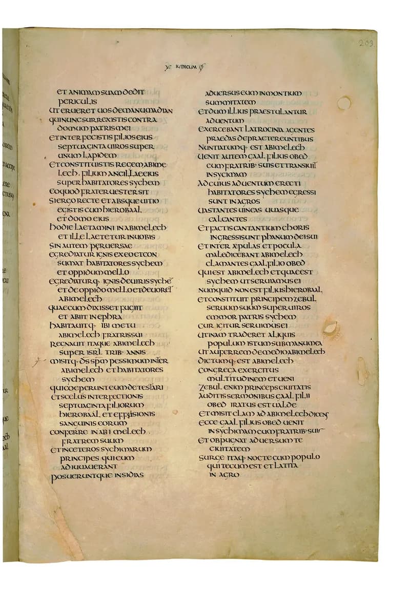 Codex Amiatinus, 1 Samuel 23 (canvas 403) by Master of the Codex Amiatinus (Monkwearmouth-Jarrow scriptorium) depicting 1 Samuel 23