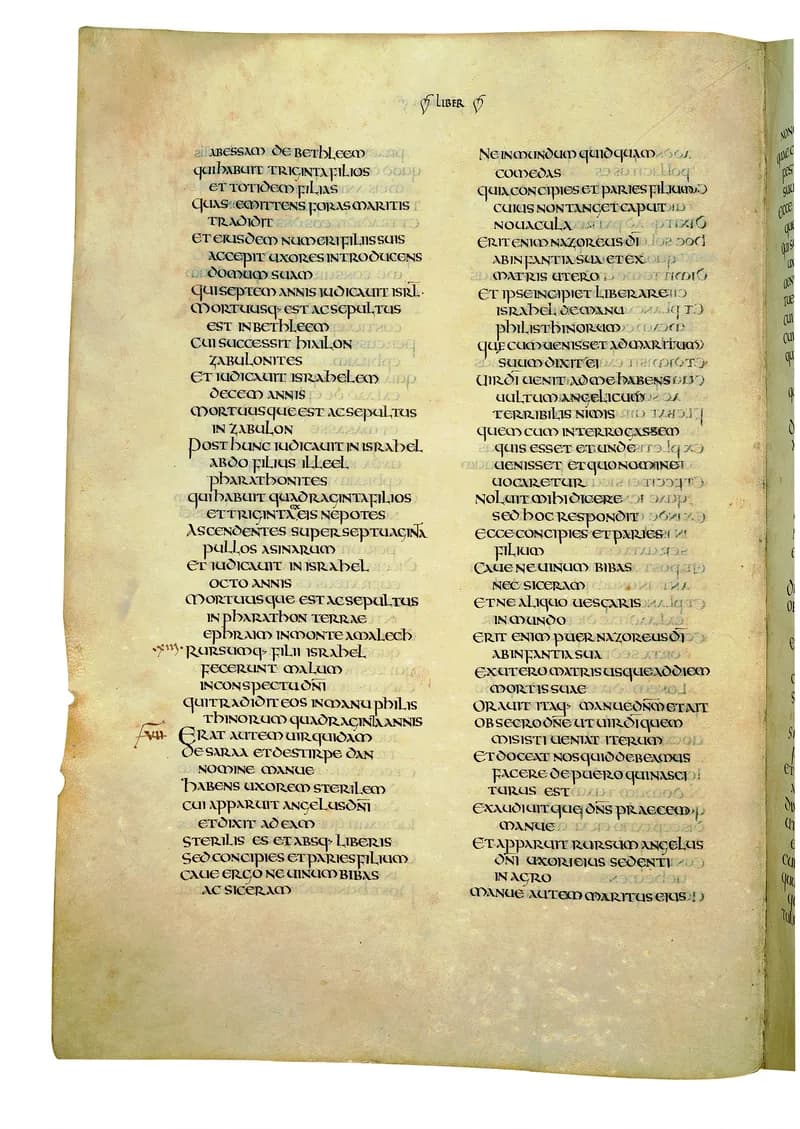 Codex Amiatinus, 1 Samuel 27 (canvas 410) by Master of the Codex Amiatinus (Monkwearmouth-Jarrow scriptorium) depicting 1 Samuel 27