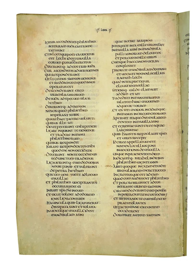 Codex Amiatinus, 1 Samuel 30 (canvas 414) by Master of the Codex Amiatinus (Monkwearmouth-Jarrow scriptorium) depicting 1 Samuel 30