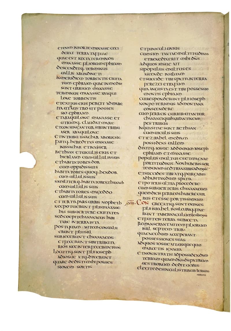 Codex Amiatinus, 1 Samuel 4 (canvas 374) by Master of the Codex Amiatinus (Monkwearmouth-Jarrow scriptorium) depicting 1 Samuel 4