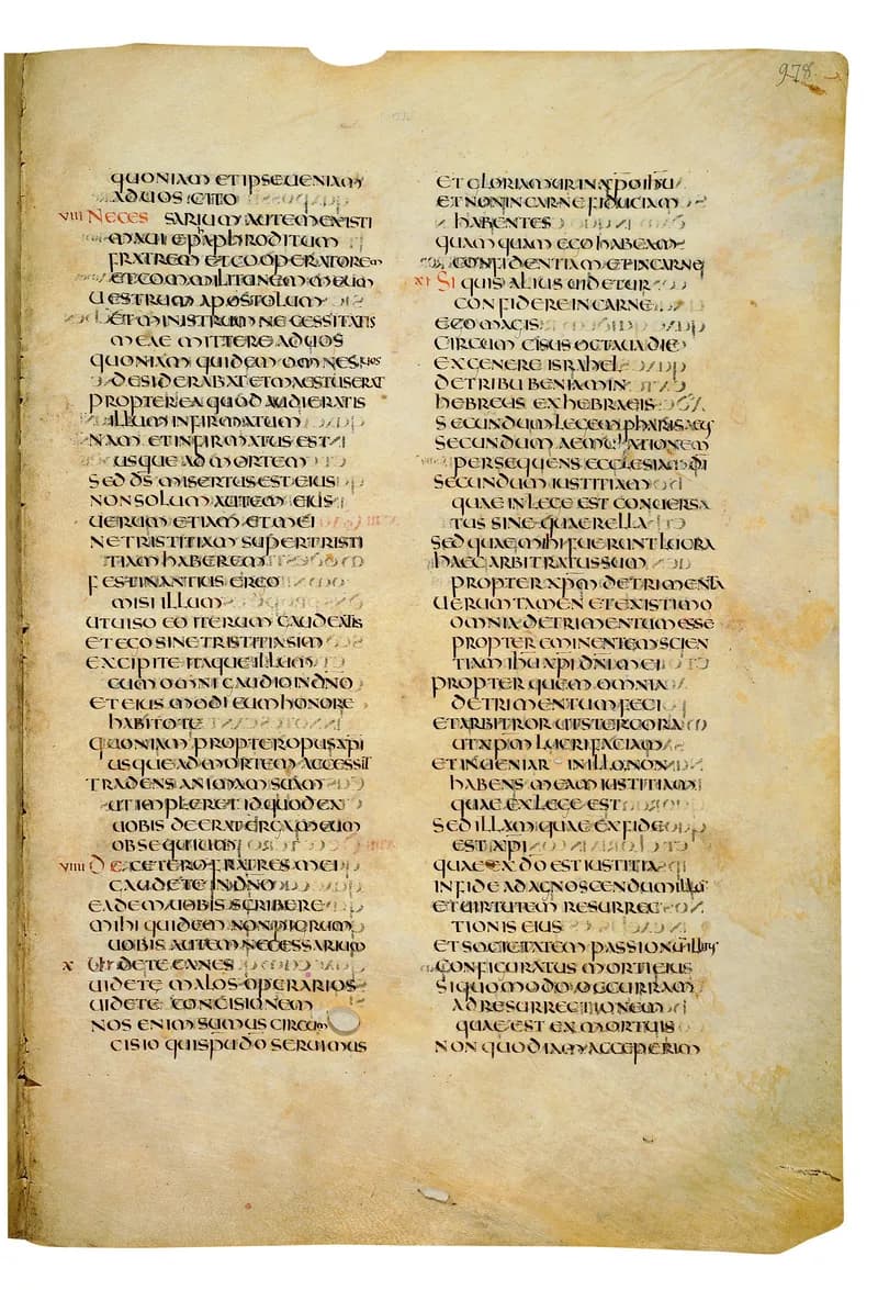 Codex Amiatinus, 1 Timothy 4 (canvas 1953) by Master of the Codex Amiatinus (Monkwearmouth-Jarrow scriptorium) depicting 1 Timothy 4