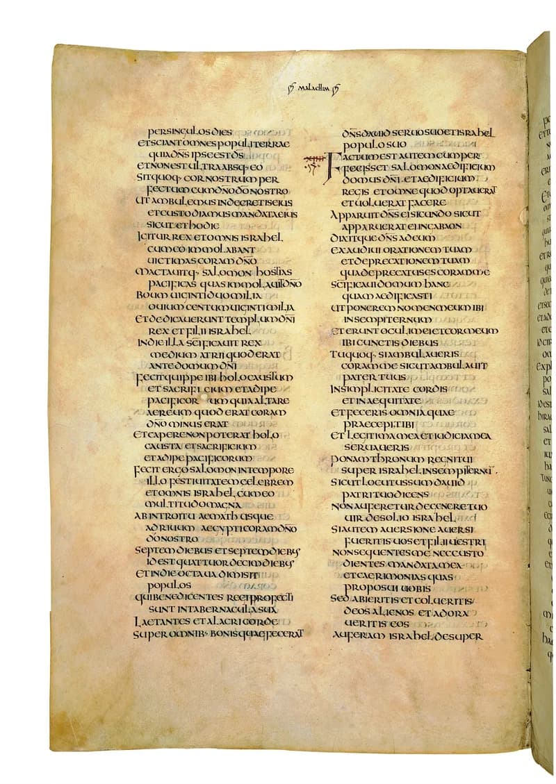 Codex Amiatinus, 2 Chronicles 1 (canvas 572) by Master of the Codex Amiatinus (Monkwearmouth-Jarrow scriptorium) depicting 2 Chronicles 1