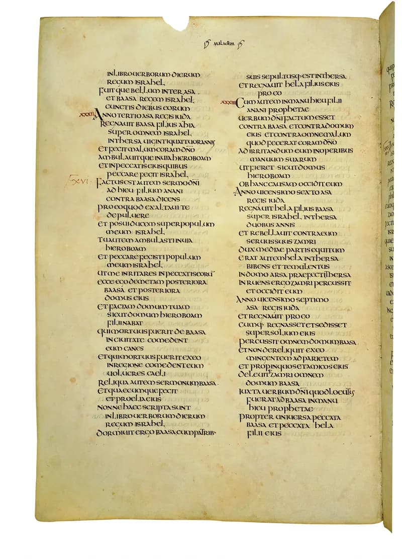 Codex Amiatinus, 2 Chronicles 11 (canvas 588) by Master of the Codex Amiatinus (Monkwearmouth-Jarrow scriptorium) depicting 2 Chronicles 11