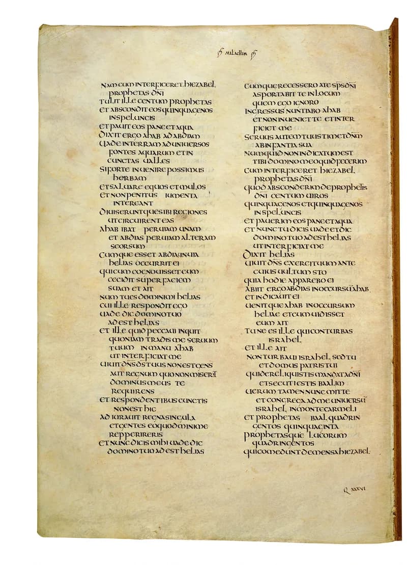Codex Amiatinus, 2 Chronicles 14 (canvas 592) by Master of the Codex Amiatinus (Monkwearmouth-Jarrow scriptorium) depicting 2 Chronicles 14