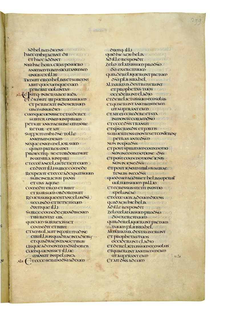 Codex Amiatinus, 2 Chronicles 16 (canvas 595) by Master of the Codex Amiatinus (Monkwearmouth-Jarrow scriptorium) depicting 2 Chronicles 16