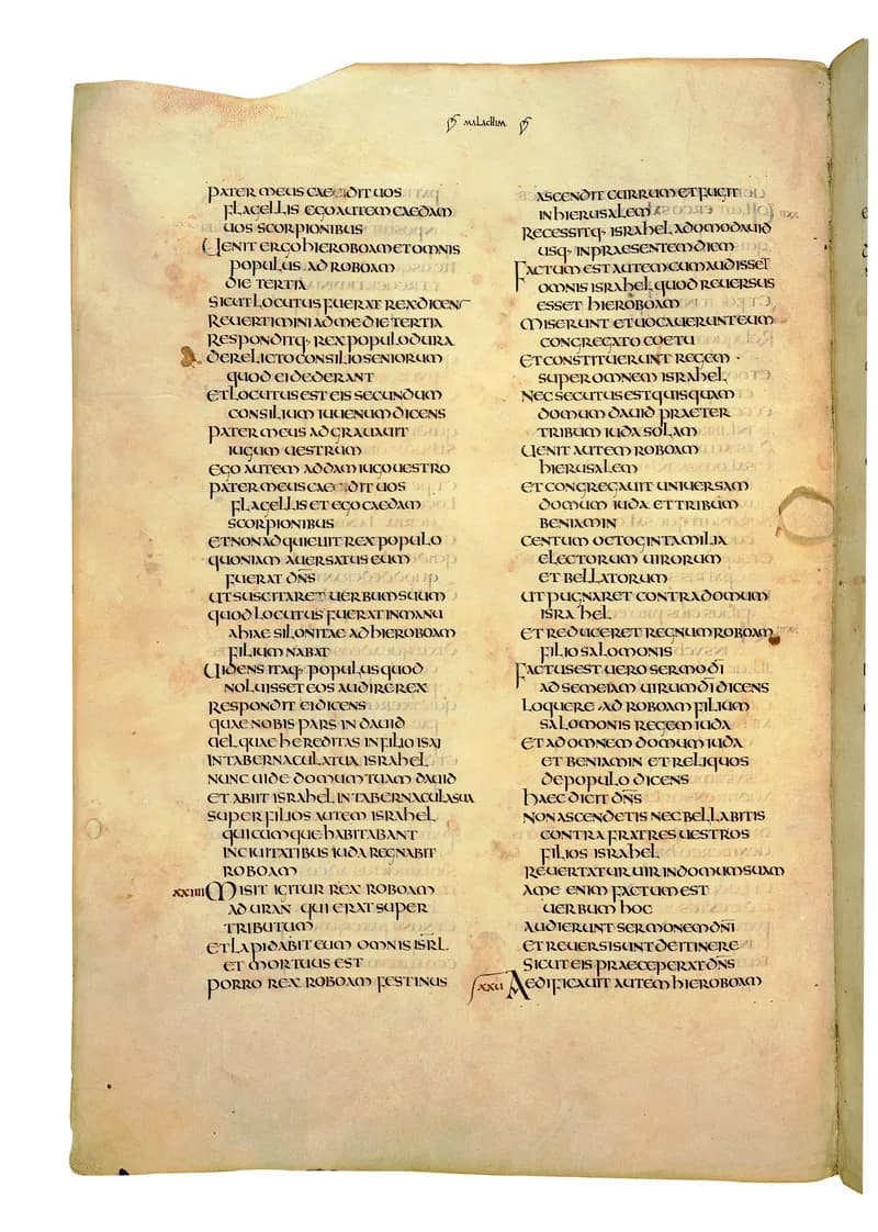 Codex Amiatinus, 2 Chronicles 6 (canvas 580) by Master of the Codex Amiatinus (Monkwearmouth-Jarrow scriptorium) depicting 2 Chronicles 6