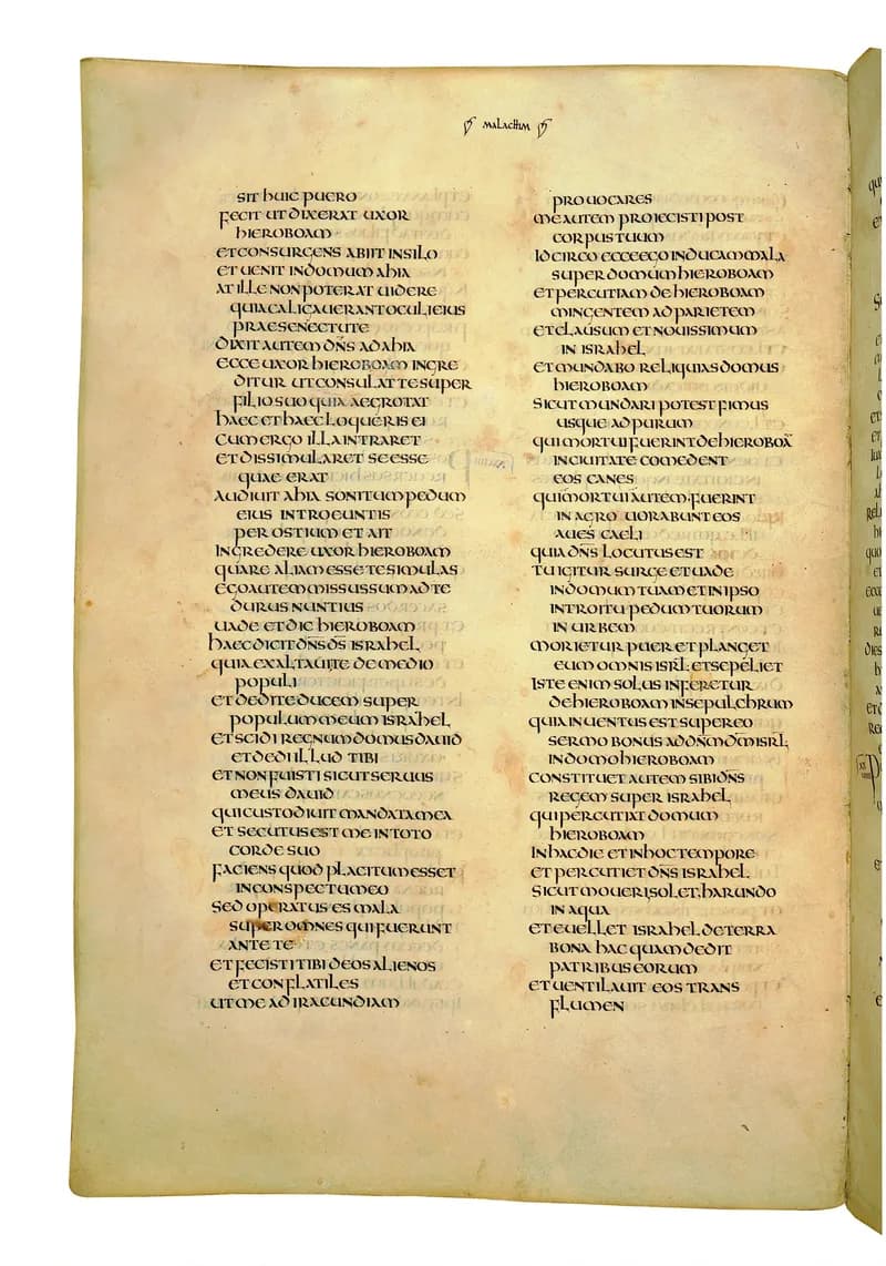 Codex Amiatinus, 2 Chronicles 9 (canvas 584) by Master of the Codex Amiatinus (Monkwearmouth-Jarrow scriptorium) depicting 2 Chronicles 9