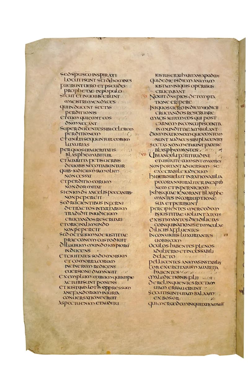Codex Amiatinus, 2 John 1 (canvas 2018) by Master of the Codex Amiatinus (Monkwearmouth-Jarrow scriptorium) depicting 2 John 1