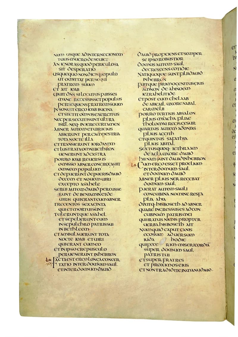 Codex Amiatinus, 2 Kings 10 (canvas 502) by Master of the Codex Amiatinus (Monkwearmouth-Jarrow scriptorium) depicting 2 Kings 10