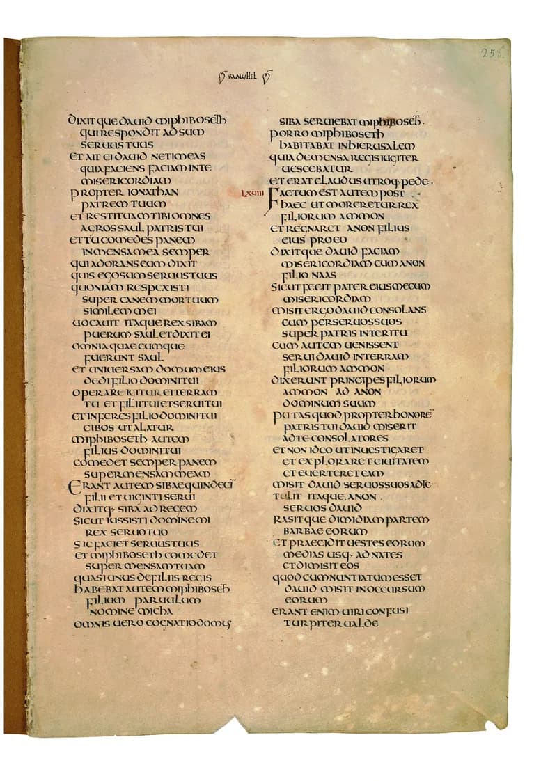Codex Amiatinus, 2 Kings 17 (canvas 513) by Master of the Codex Amiatinus (Monkwearmouth-Jarrow scriptorium) depicting 2 Kings 17