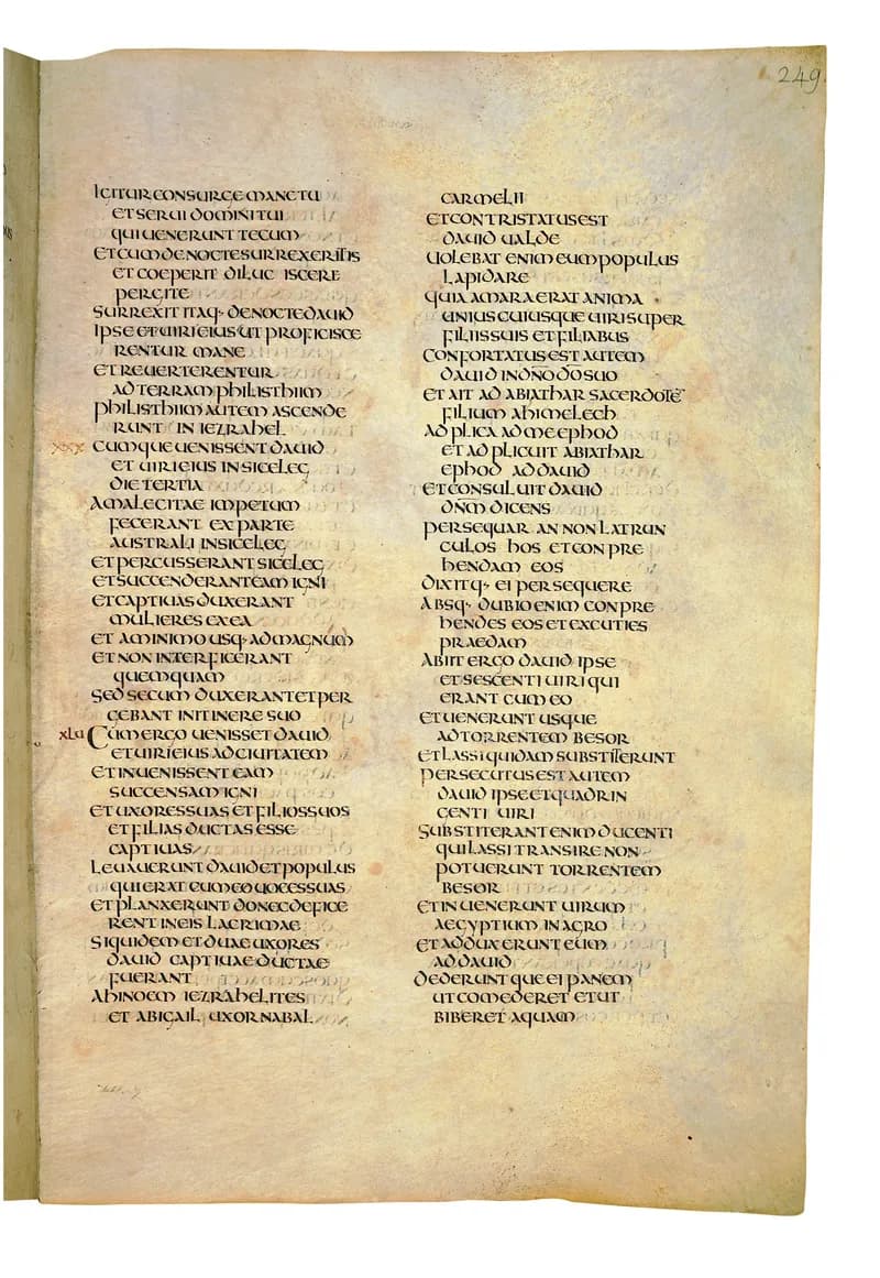 Codex Amiatinus, 2 Kings 5 (canvas 495) by Master of the Codex Amiatinus (Monkwearmouth-Jarrow scriptorium) depicting 2 Kings 5