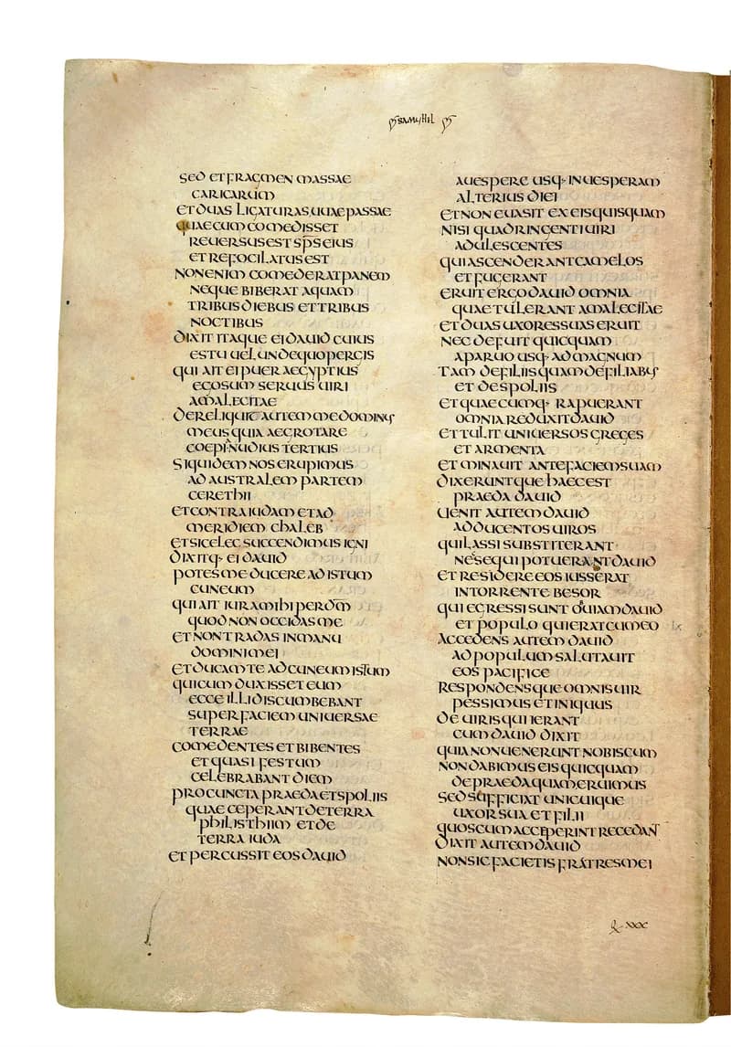 Codex Amiatinus, 2 Kings 6 (canvas 496) by Master of the Codex Amiatinus (Monkwearmouth-Jarrow scriptorium) depicting 2 Kings 6