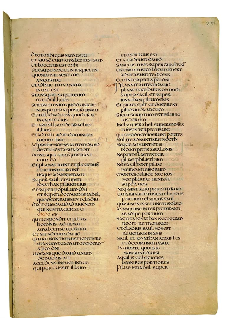 Codex Amiatinus, 2 Kings 8 (canvas 499) by Master of the Codex Amiatinus (Monkwearmouth-Jarrow scriptorium) depicting 2 Kings 8
