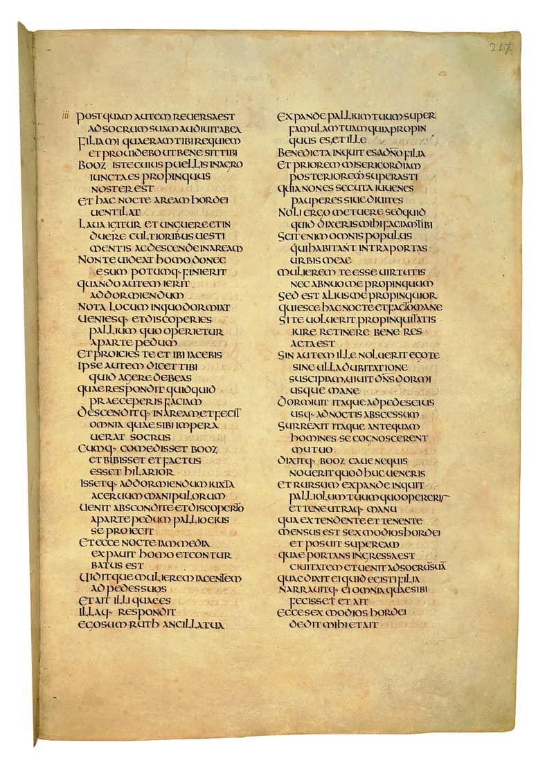 Codex Amiatinus, 2 Samuel 10 (canvas 431) by Master of the Codex Amiatinus (Monkwearmouth-Jarrow scriptorium) depicting 2 Samuel 10