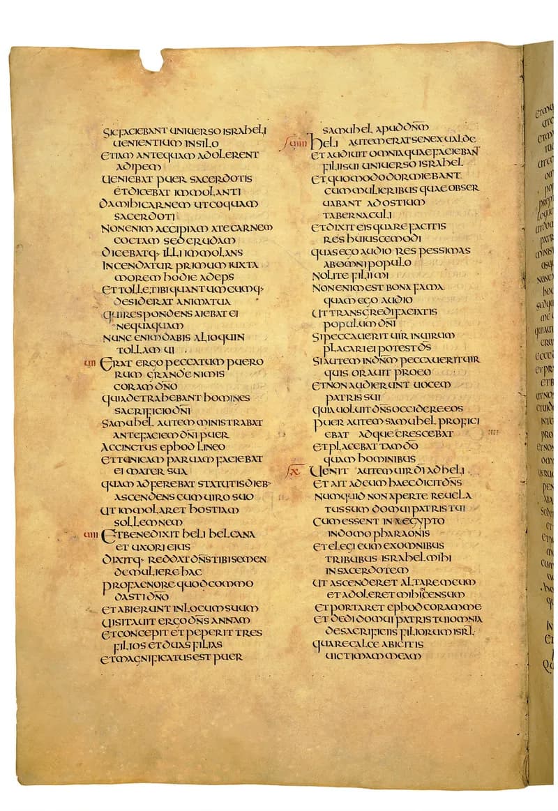 Codex Amiatinus, 2 Samuel 17 (canvas 442) by Master of the Codex Amiatinus (Monkwearmouth-Jarrow scriptorium) depicting 2 Samuel 17