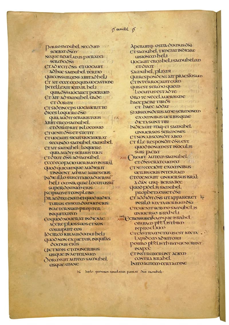 Codex Amiatinus, 2 Samuel 18 (canvas 444) by Master of the Codex Amiatinus (Monkwearmouth-Jarrow scriptorium) depicting 2 Samuel 18