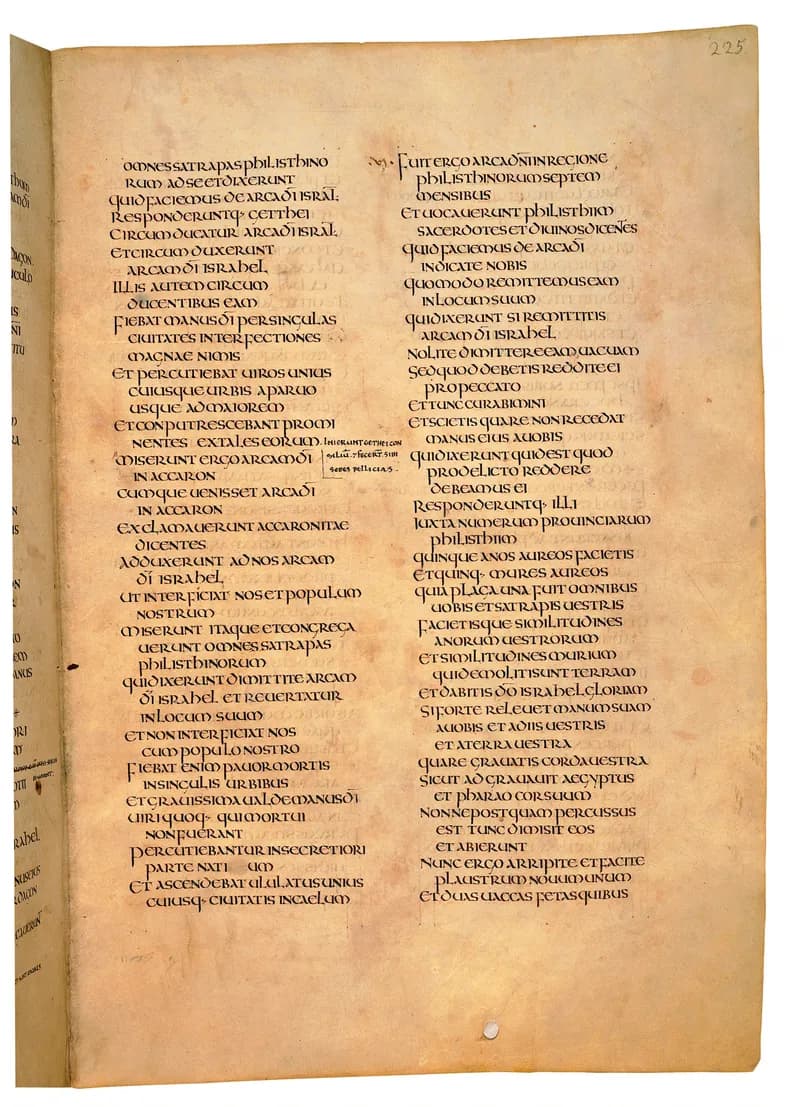 Codex Amiatinus, 2 Samuel 20 (canvas 447) by Master of the Codex Amiatinus (Monkwearmouth-Jarrow scriptorium) depicting 2 Samuel 20
