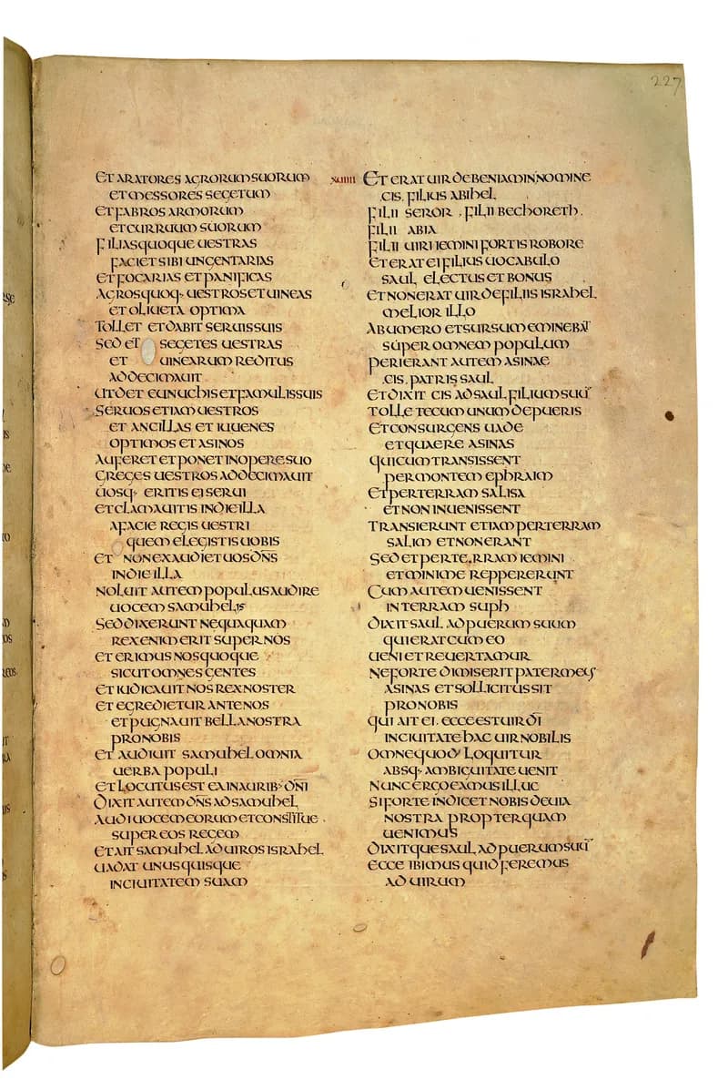 Codex Amiatinus, 2 Samuel 23 (canvas 451) by Master of the Codex Amiatinus (Monkwearmouth-Jarrow scriptorium) depicting 2 Samuel 23