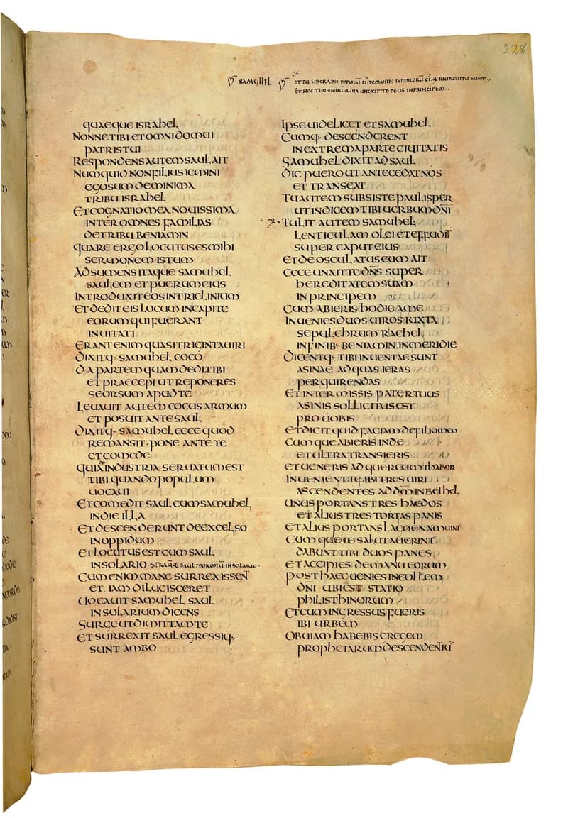 Codex Amiatinus, 2 Samuel 24 (canvas 453) by Master of the Codex Amiatinus (Monkwearmouth-Jarrow scriptorium) depicting 2 Samuel 24