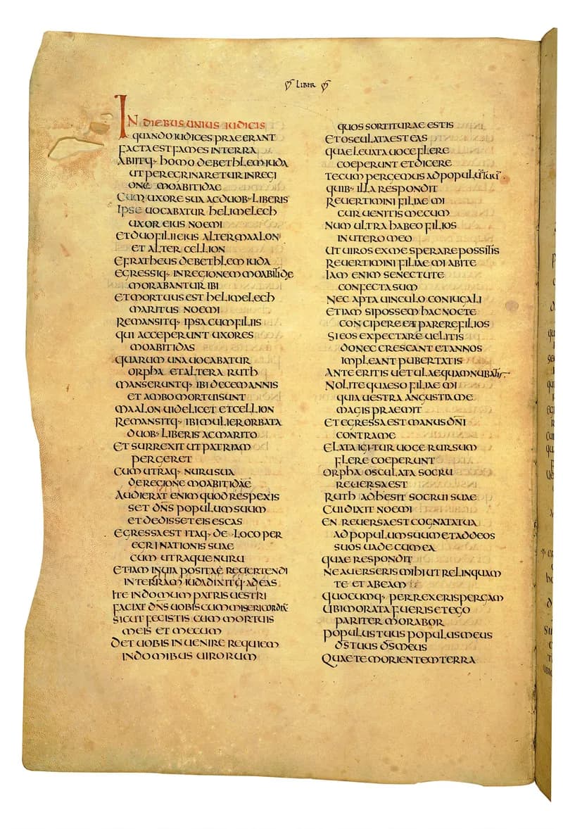 Codex Amiatinus, 2 Samuel 8 (canvas 428) by Master of the Codex Amiatinus (Monkwearmouth-Jarrow scriptorium) depicting 2 Samuel 8