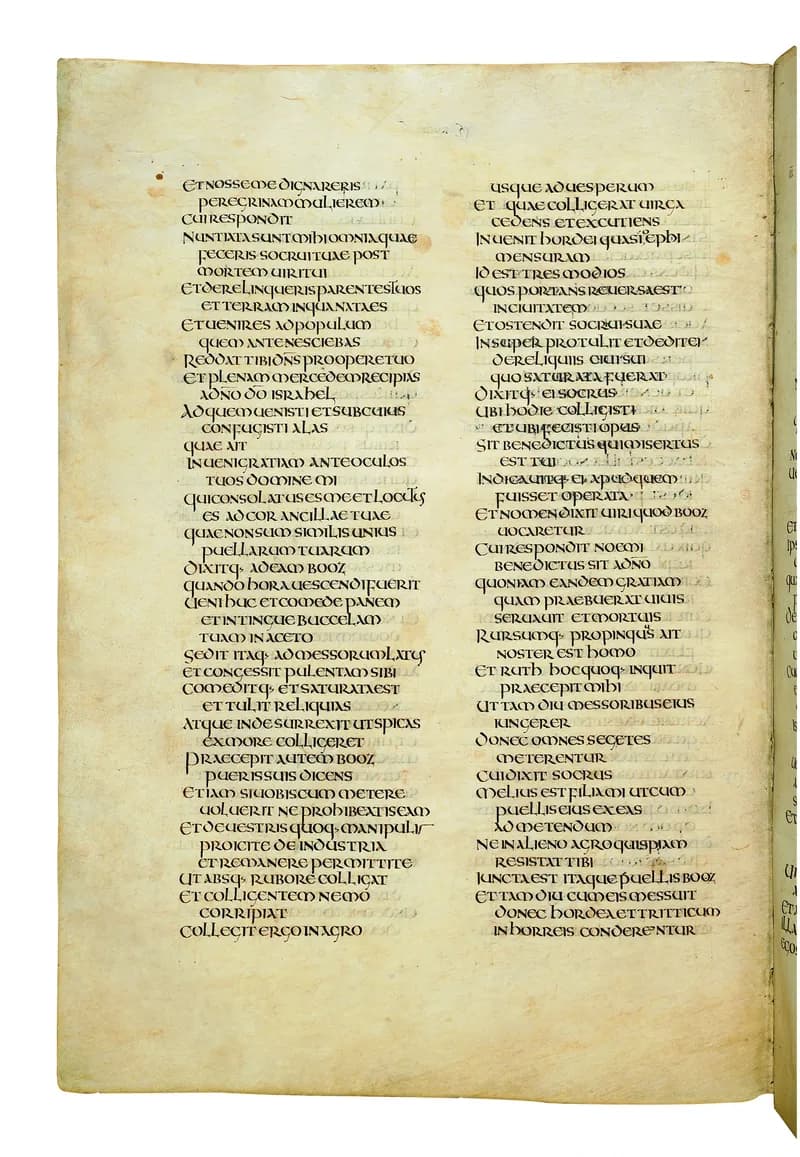 Codex Amiatinus, 2 Samuel 9 (canvas 430) by Master of the Codex Amiatinus (Monkwearmouth-Jarrow scriptorium) depicting 2 Samuel 9